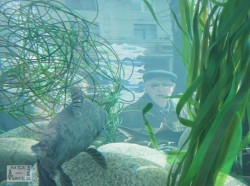 аквариум-с-рыбами.jpg